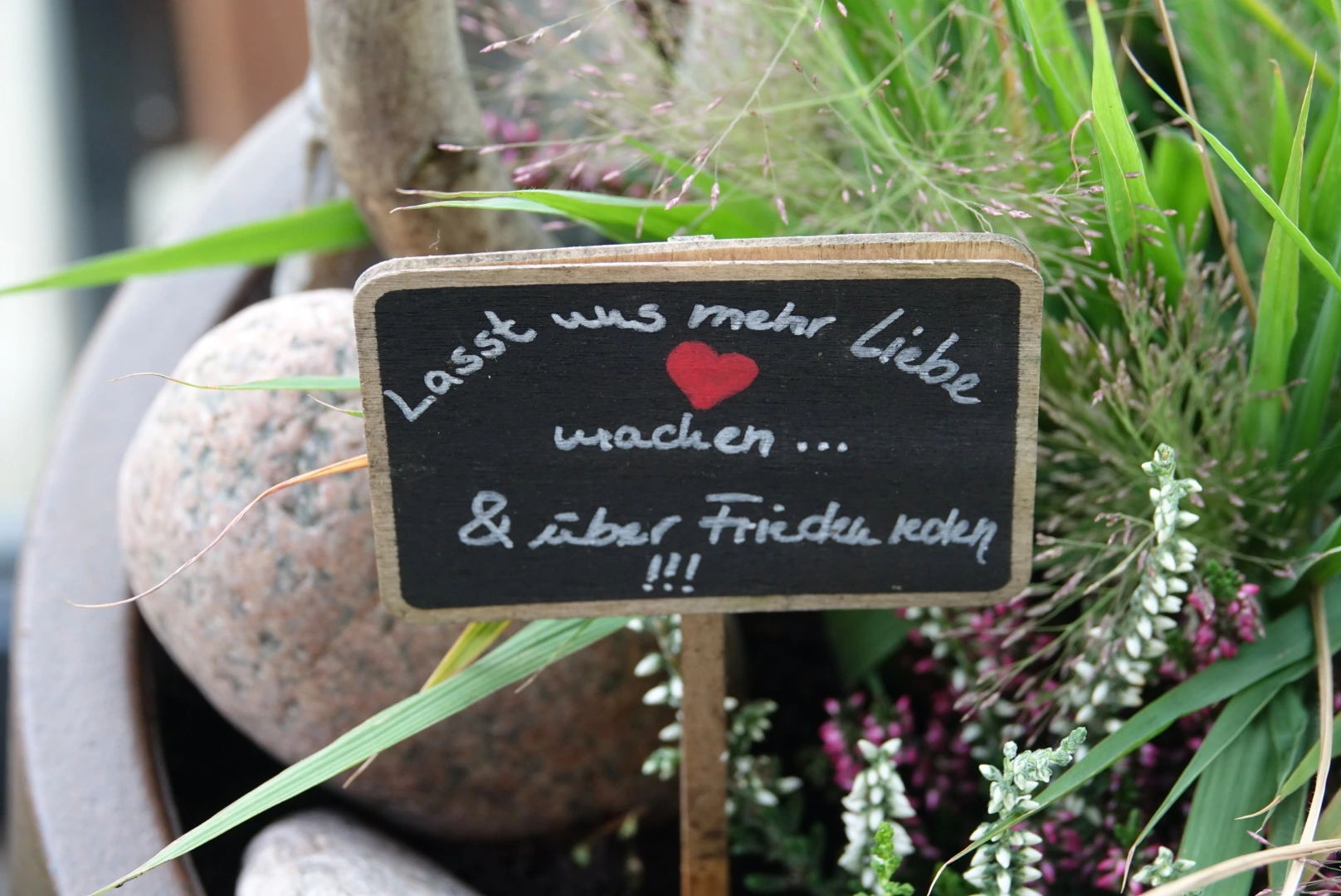 Kleines Gartenschild mit Herz zwischen Blumen: Lasst uns mehr Liebe wachsen