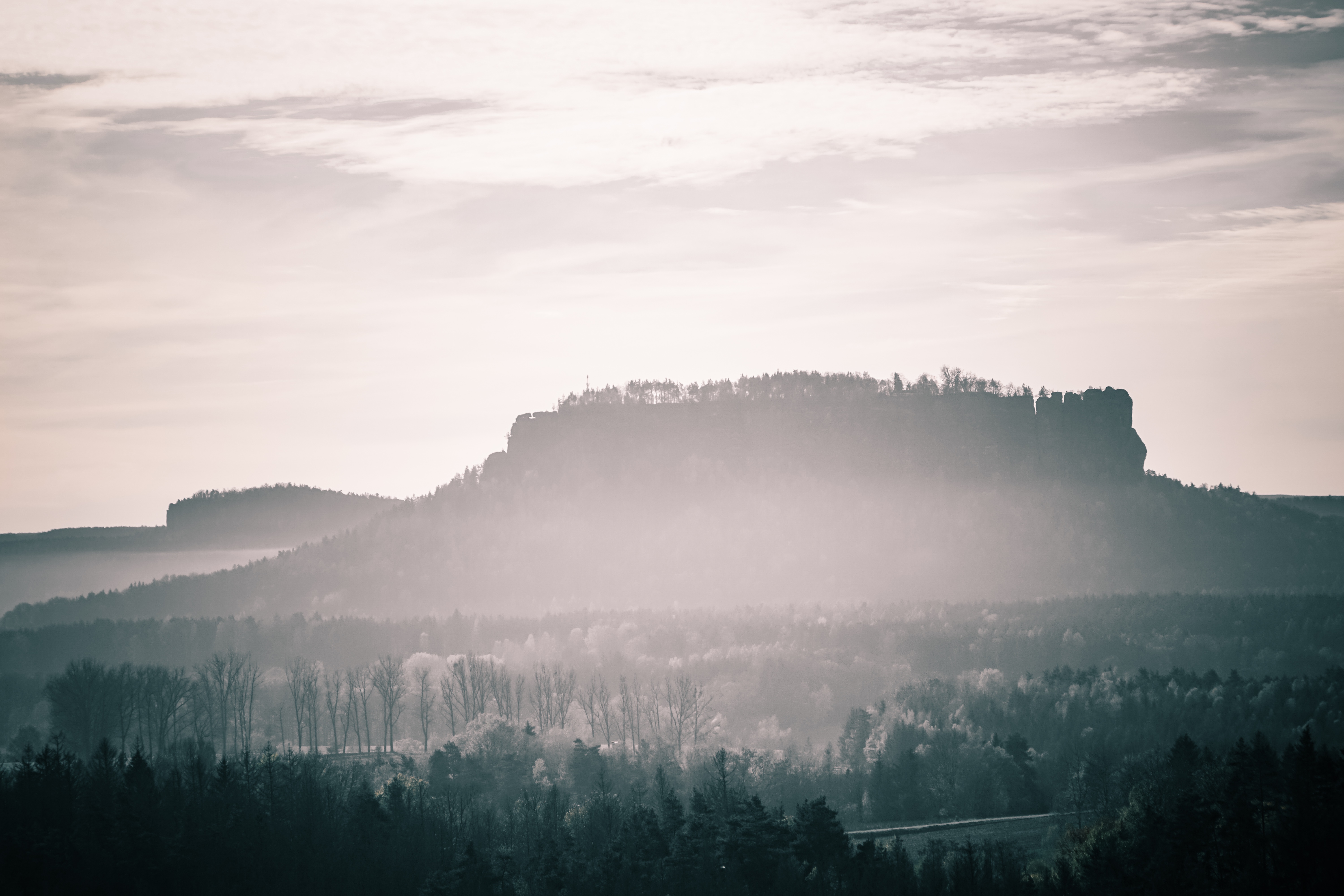 Elbsandsteingebirge · Nebel, der bleiben will.